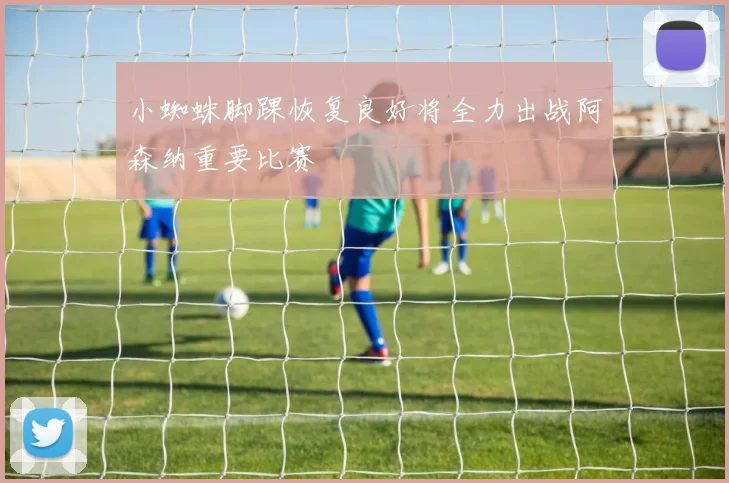 小蜘蛛脚踝恢复良好将全力出战阿森纳重要比赛